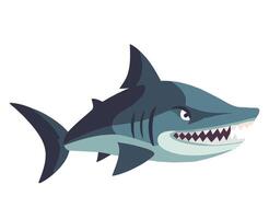 Shark with open mouth and teeth on white background vector