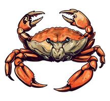 A crab with claws and claws on its back vector