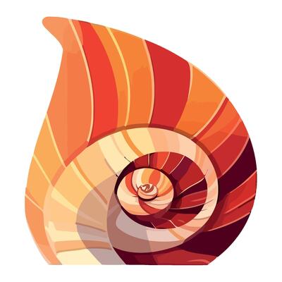 A colorful shell with a spiral pattern
