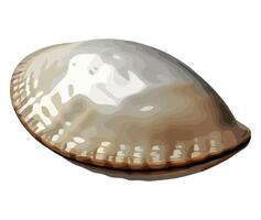 A shell is shown on a white background vector