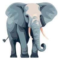 An elephant with tusks standing on a white background vector