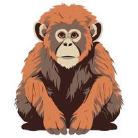 An illustration of a monkey sitting down vector