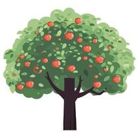 An apple tree with fruit on it vector
