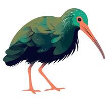 A green bird with a long beak and long legs vector