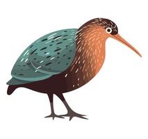 A cartoon bird with a long beak and long legs vector