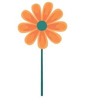An orange flower with green leaves on a white background vector