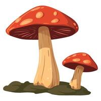 Two red mushrooms on a white background vector