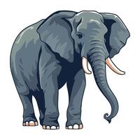 An elephant with tusks standing on a white background vector