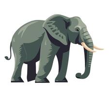 An elephant is standing in front of a white background vector