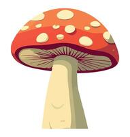 A cartoon mushroom with a white background vector