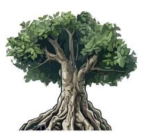An illustration of a tree with roots vector