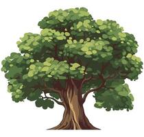 An illustration of a tree with green leaves vector