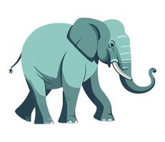 An elephant is standing in front of a white background vector
