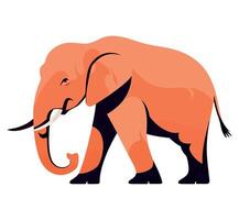 An elephant is standing on a white background vector