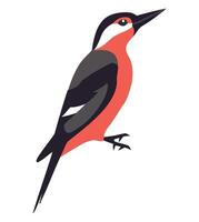 A red and black bird with a white beak vector