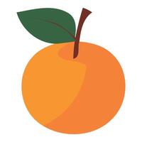 An orange with a leaf on it is shown vector