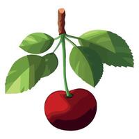 A red cherry on a branch with leaves vector