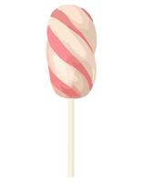 A lollipop with a pink and white striped top vector