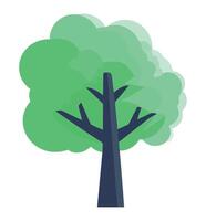 A tree with a green leaf on top vector