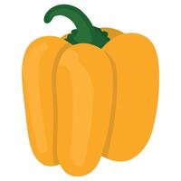 A yellow pepper on a white background vector