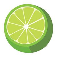 A lime slice is shown on a white background vector