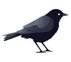 Black bird on white background illustration vector