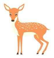 A deer standing on a white background vector