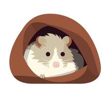 A hamster in a brown and white cave vector