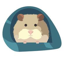 A hamster in a blue house with a white nose vector