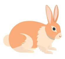 A rabbit is sitting on a white background vector