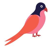 A colorful bird with black and pink feathers vector