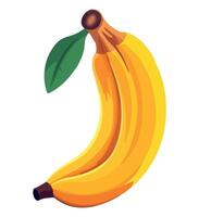 Banana with leaf illustration vector