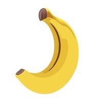 A banana is shown on a white background vector