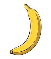 A banana is shown on a white background vector