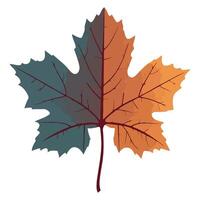 A maple leaf with two different colors vector
