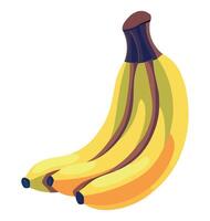 A bunch of bananas on a white background vector