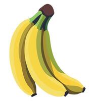 Bananas on white background illustration vector