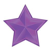 Realistic star isolated illustration on the white vector