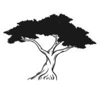 Bonsai with a silhouette and retro style vector