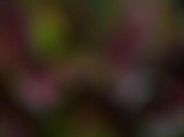Abstract background with blurred camera effect photo