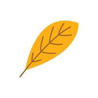 simple leaf icon vector