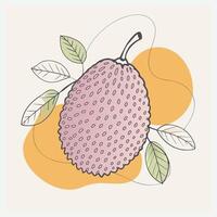 Breadfruit Illustration, Detailed and Vibrant vector