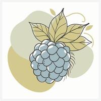 Vibrant Raspberry Illustration vector