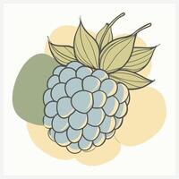 Vibrant Raspberry Illustration vector
