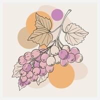 Elegant Currant Illustration ,Detailed Botanical Design for Creative Projects vector