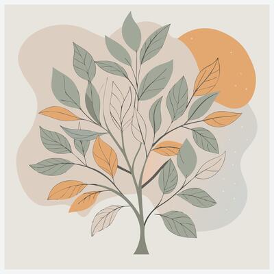 Laurel Tree ,Elegant and Detailed Botanical Illustration