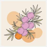 Majestic Juniper Tree Illustration vector