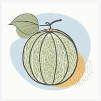 Cantaloupe Illustration, Premium Quality, High-Resolution Graphics for Design Projects vector