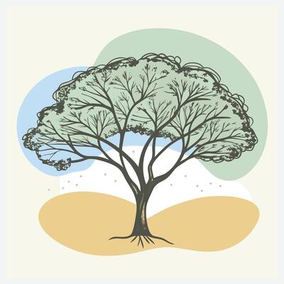 Majestic Jacaranda Tree Illustration