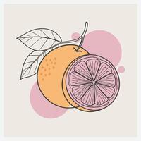 Vibrant Pomelo Illustration vector
